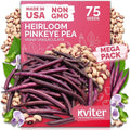 KVITER 75 Top Pick Pinkeye Cow Pea Seeds by KVITER