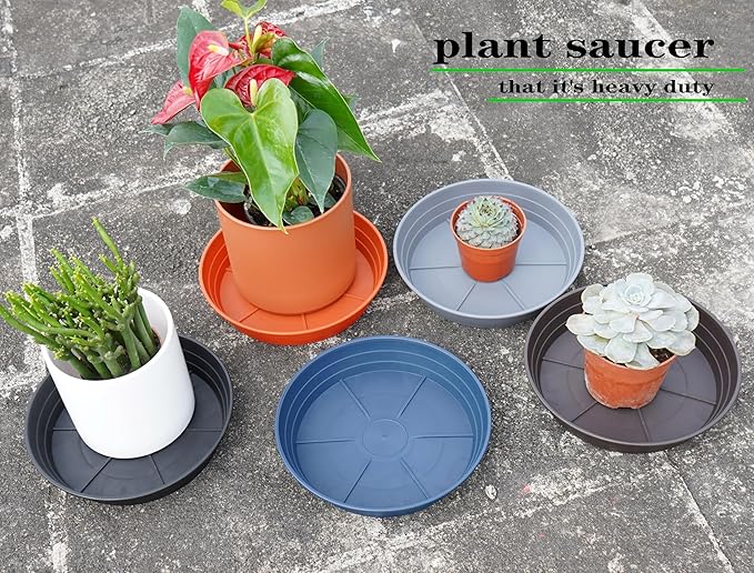 LWALRS Plant Saucer 14 Inch 2 Pack 6 8 10 12 14 16 18 20 25, Plastic Plant Trays - Image 7