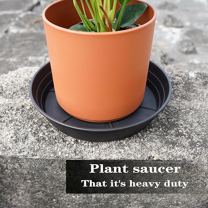 LWALRS 4 Packs 8 Inches Plant Saucer Drip Trays, Round Plastic Plant Pot - Image 3