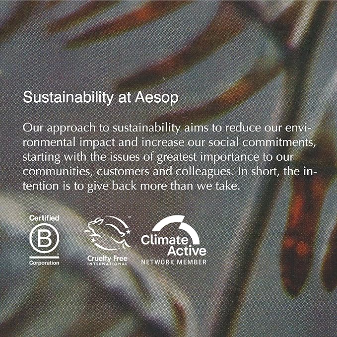 Aesop Redemption Body Scrub | Fine-Grain Exfoliating Body Polish - Image 6