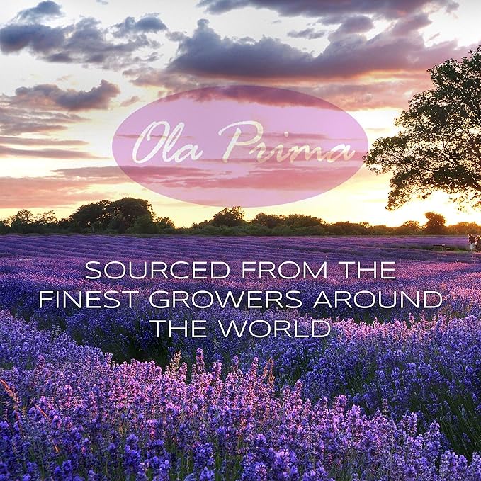 Ola Prima 16 oz Oregano Essential Oil Big Bottle - Image 4